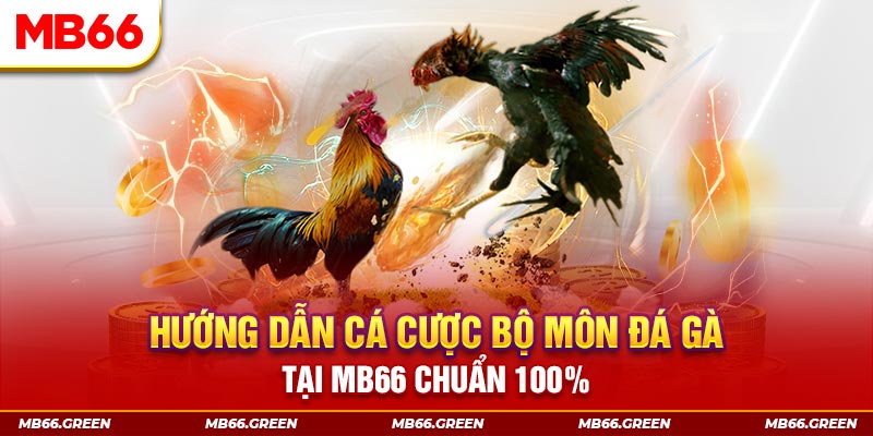 pg99 kết quả xổ số miền bắc ngày hôm nay
