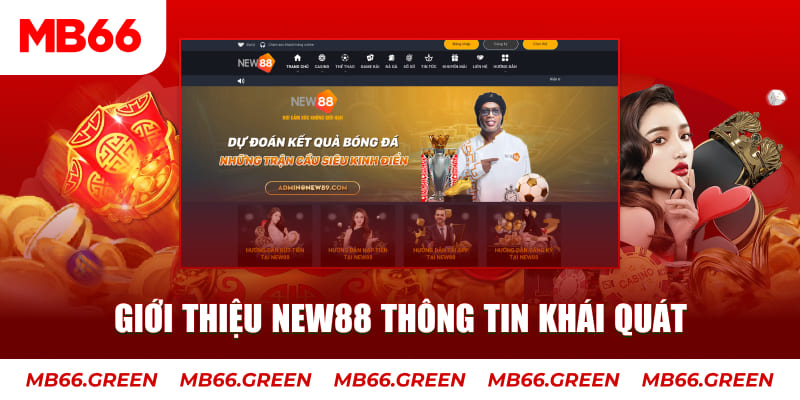 pg99 c1 gà chọi
