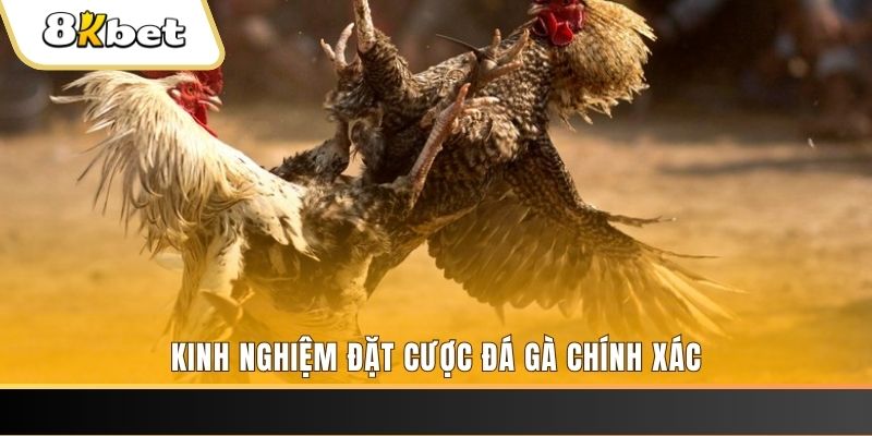 pg99 xổ số thứ bảy hàng tuần