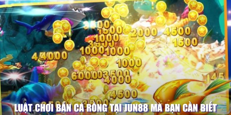 pg99 xổ số đài hà nội