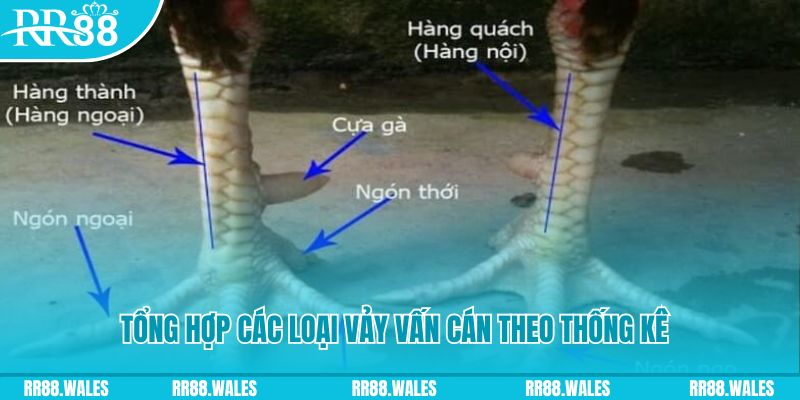 pg99 HB Điện Tử