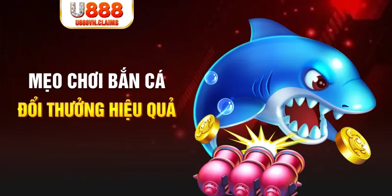 pg99 gà chọi cam ranh