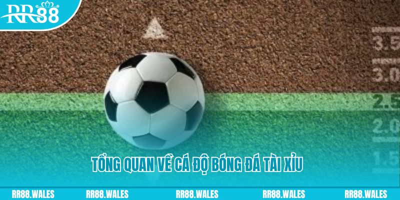 pg99 đăng nhập roulette online