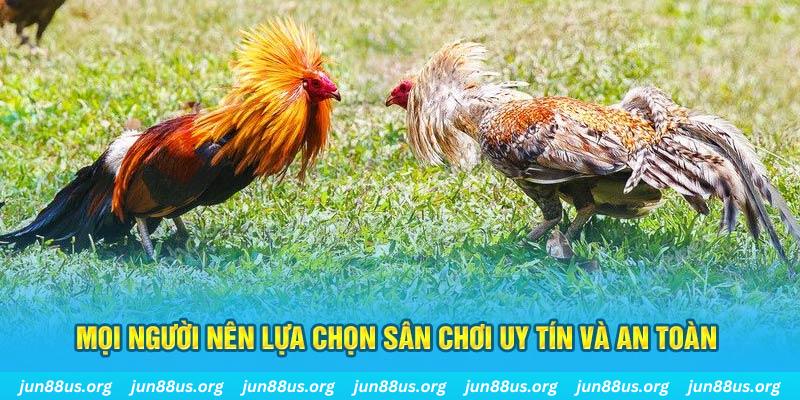 pg99 Cỡ bảy