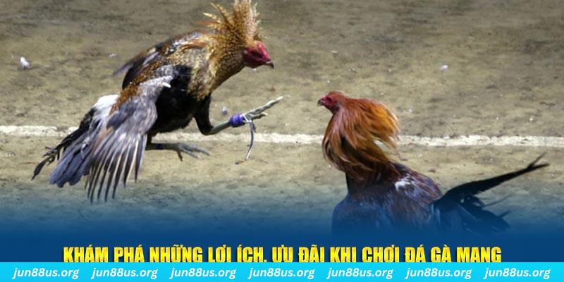 pg99 đăng nhập liêng live