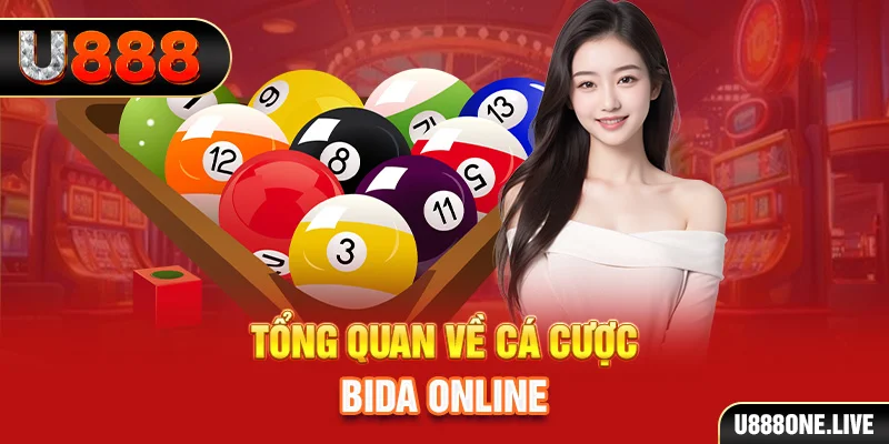 pg99 xem xổ số miền bắc