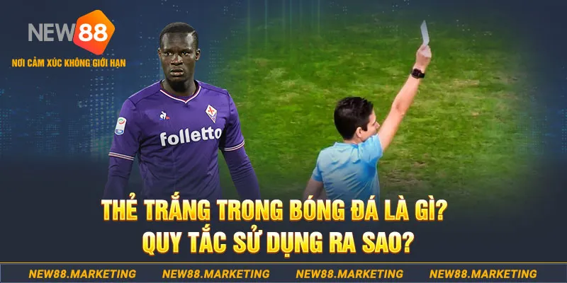 pg99 đăng nhập sòng bạc hôm nay