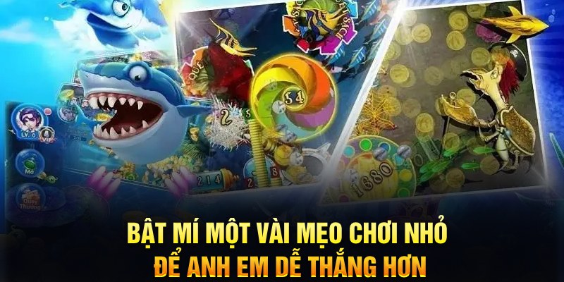 pg99 xổ số thứ ba