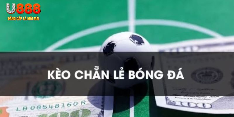 pg99 gà chọi c1.tv